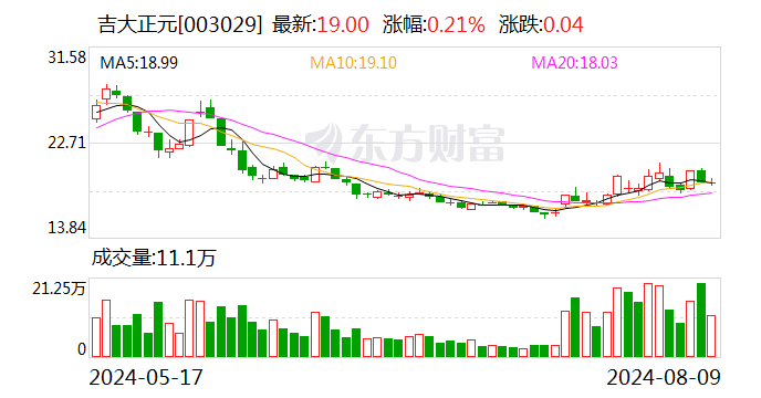 吉大正元：2024年上半年净亏损3118.78万元